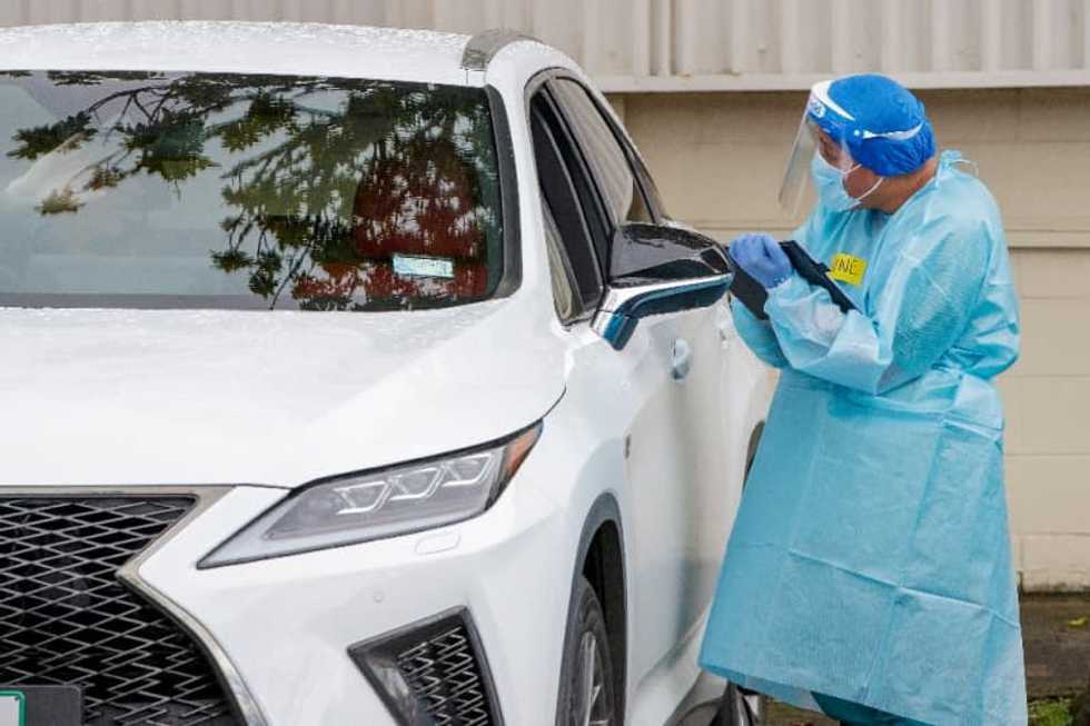 New Zealand races to track outbreak's origin as cases jump