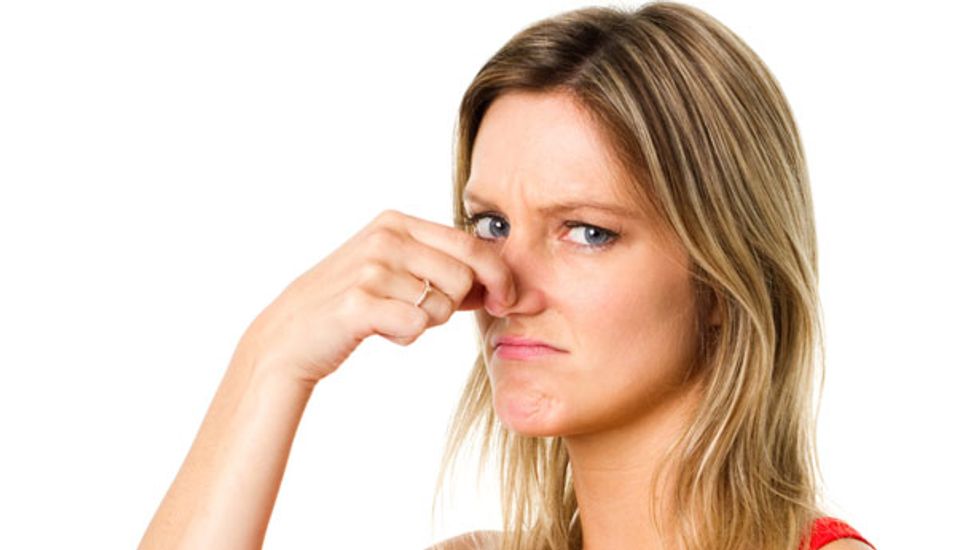 Human nose can detect more than 1 trillion smells, scientists discover