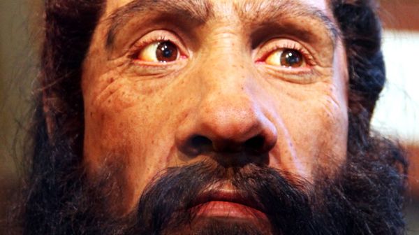 New genetic research shows we have more in common with Neanderthals than we thought