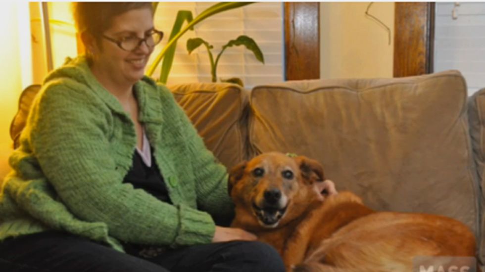 Mass. cancer patient, too busy being sick to renew a dog license, ends up in jail
