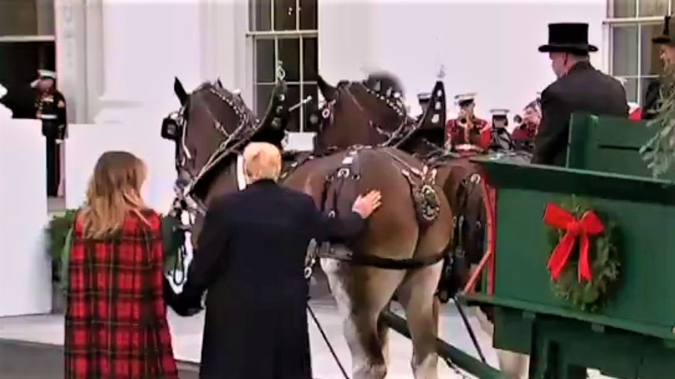 'He thinks it's a mirror': Internet howls with laughter at video of Trump stroking a horse's rear end