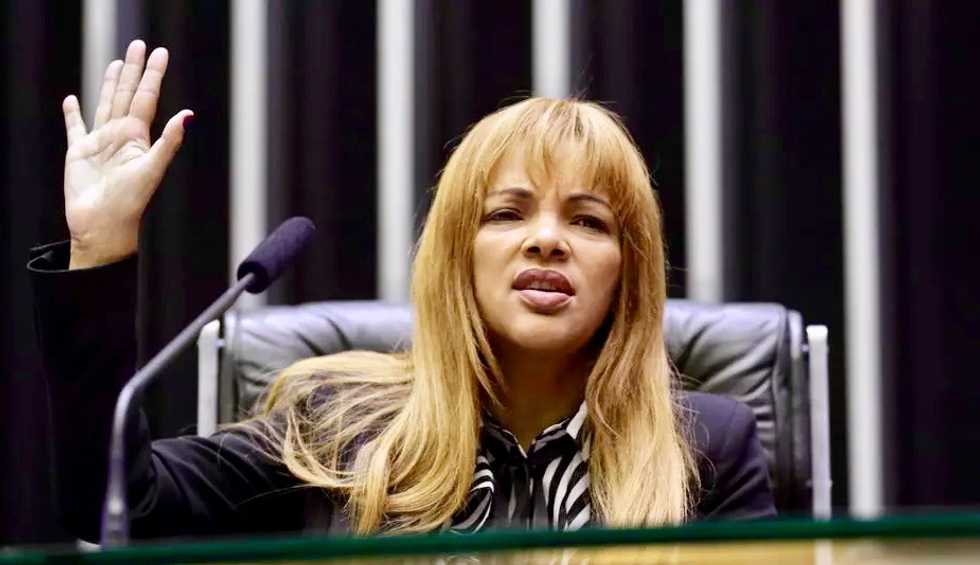 Brazil congresswoman ordered husband's murder: police