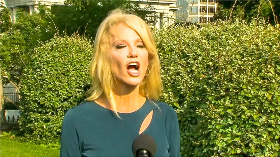 'That's pretty offensive': Kellyanne Conway snaps at reporter who called Kenosha vigilante a Trump 'supporter'