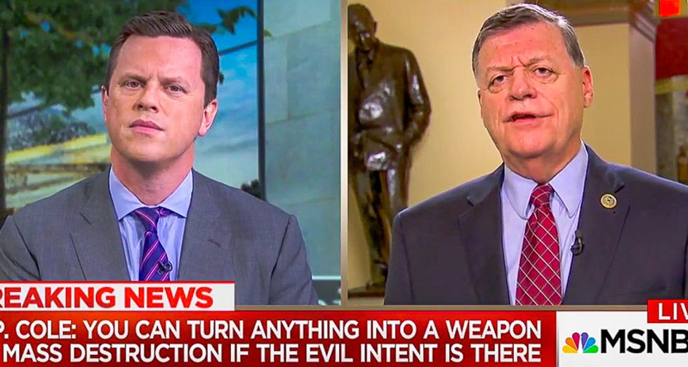GOPer stuns MSNBC host with AR-15 claim: 'They're not dangerous' -- they're like 'trucks driving into crowds'
