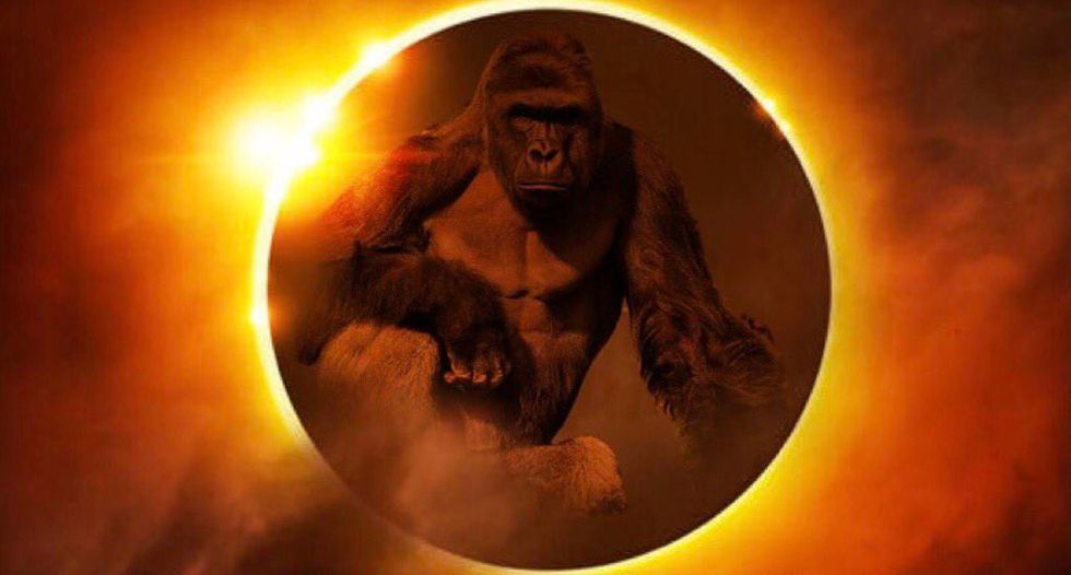 'Are you drunk?': Internet loses it after GOP rep posts ‘bizarre and racist’ Harambe eclipse meme