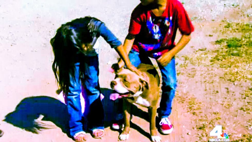 Calif. TV station films dog calmly playing with kids after cop shoots himself trying to kill it