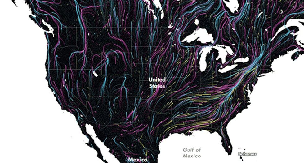This beautiful animated map shows the future of animal migration