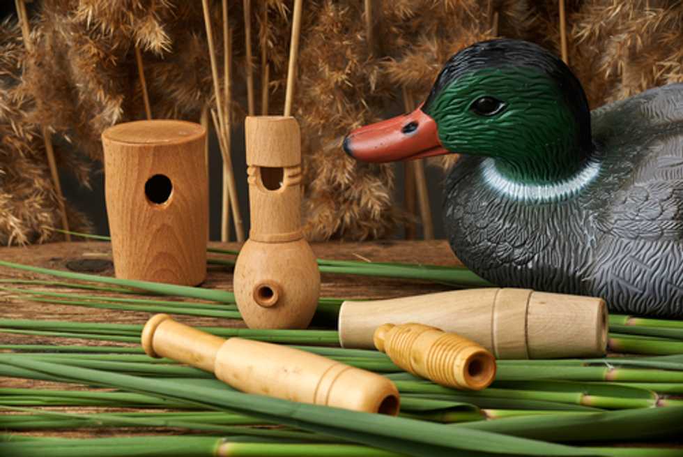 Atheists, go hunting where the ducks are