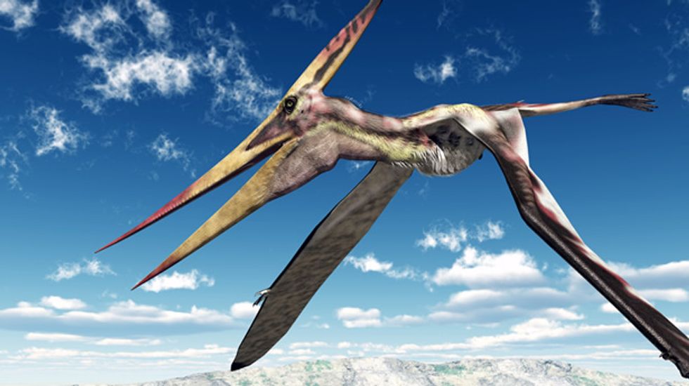 No single 'missing link' found in dinosaur-to-bird evolution process