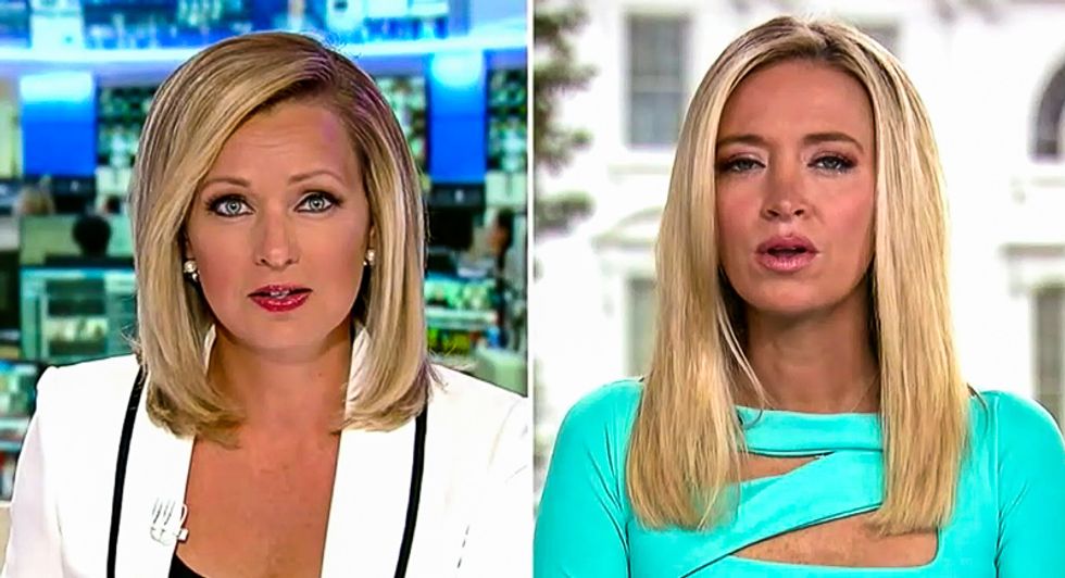 Kayleigh McEnany: Trump was using a ‘medical term’ when he said ‘herd mentality’ will defeat virus