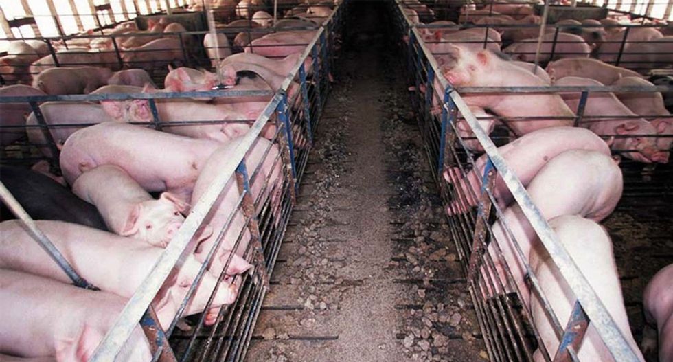 More crap from the Trump administration