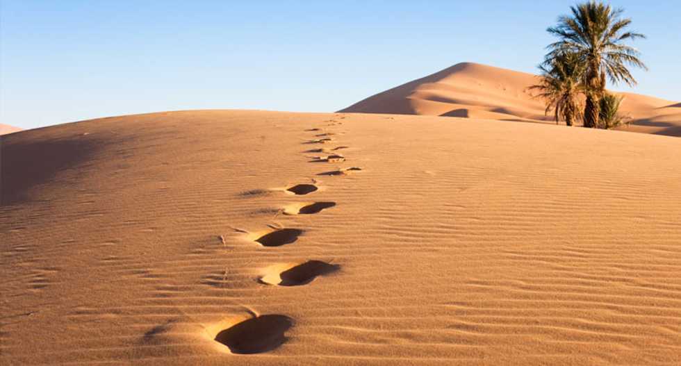 Prehistoric desert footprints are earliest evidence for Homo sapiens on Arabian Peninsula