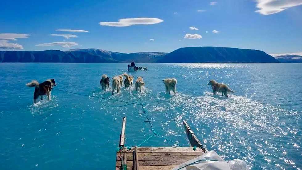 Arctic summer sea ice second lowest on record: US researchers