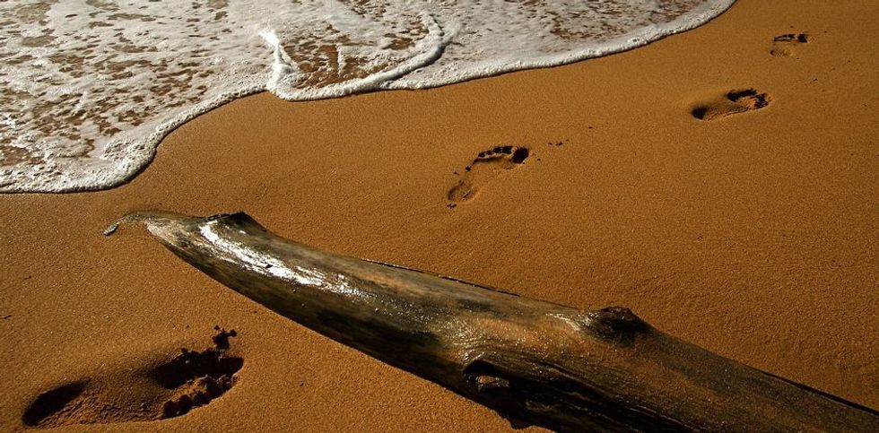 850,000-year-old footprints found on English beach