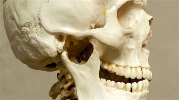 Discovering 'Naia': 12,000-year-old teen's skeleton offers clues into first Native Americans
