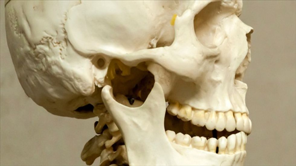 Lab-grown bones will save patients from having their own bone harvested if they need a graft