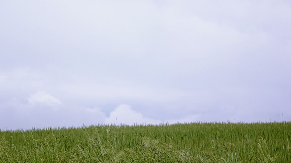 Twitter looks for Operation American Spring: 'Where is everybody? I'm confused'