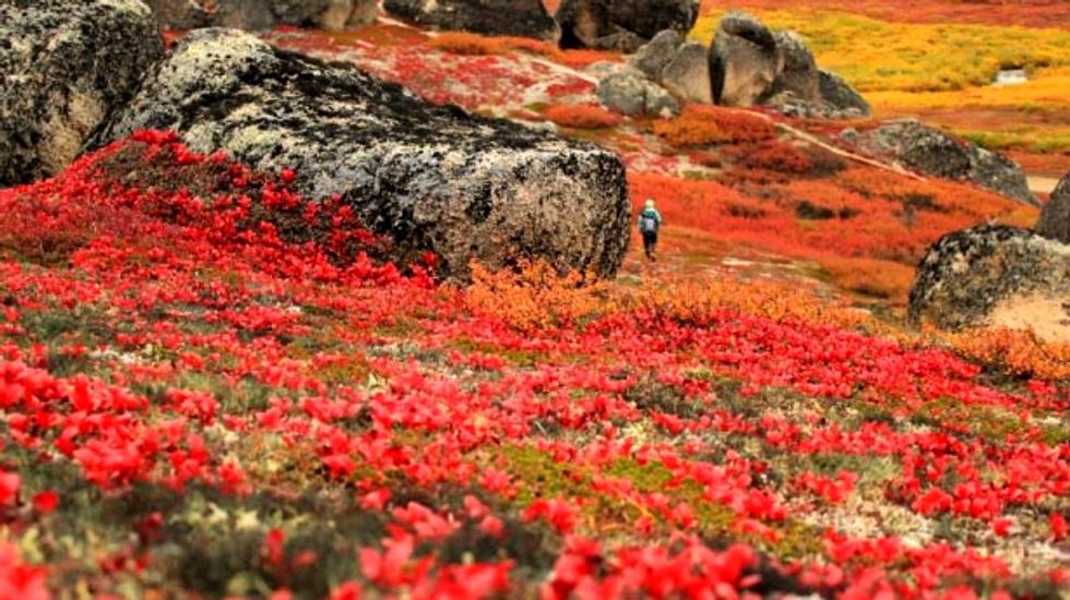 See these beautiful national landmarks? They're all imperiled by rising seas and wildfires