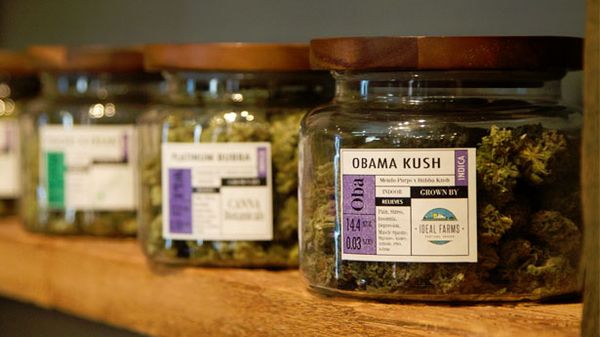 New Mexico court upholds insurance coverage for medical marijuana