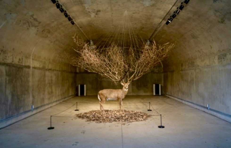 Dead stag installed at former US base in South Korea