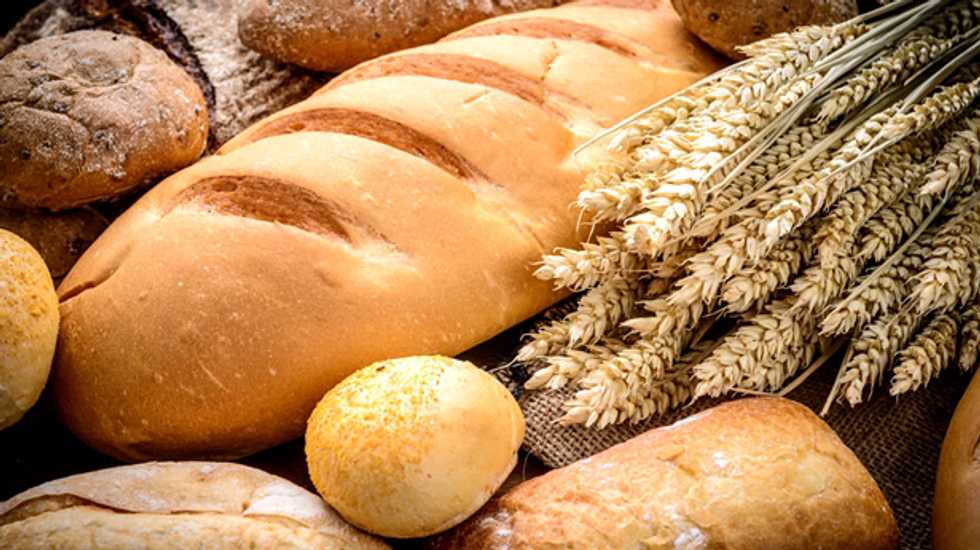 Revealed: Unapproved GM wheat is growing in Montana