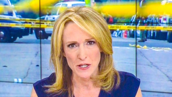 CNN host bans all gun control talk after Calif. mass shooting, then gets schooled by panelists