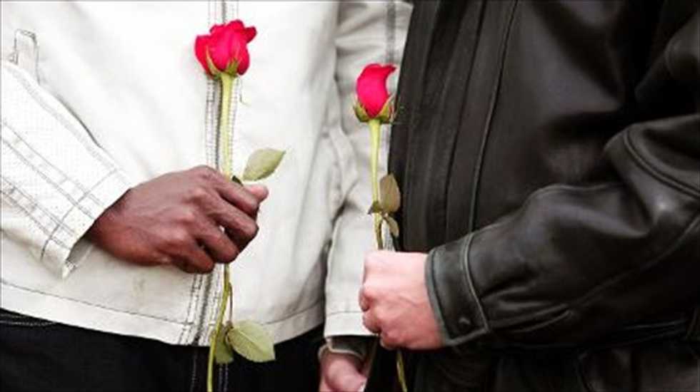 Federal court divided on same-sex marriage cases: Should courts or voters decide?