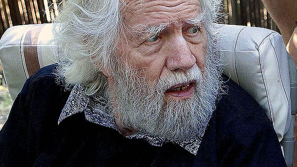 How did Alexander Shulgin become known as the godfather of ecstasy?
