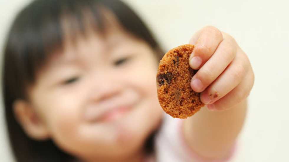 Report: PA school aide fed pet treats to 4th grade students, called them 'cookies'