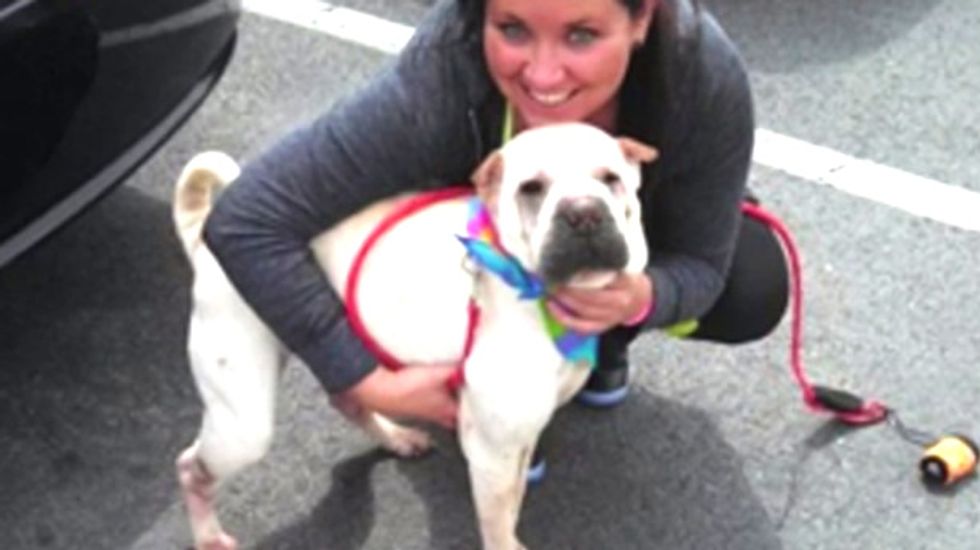 Baltimore officer arrested after slitting throat of lost dog: 'I'm going to f*cking gut this thing!'