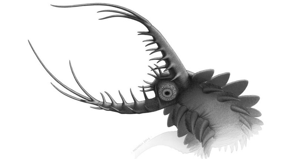 The 'penis worm mouth' monster: How scientists solved a prehistoric mystery