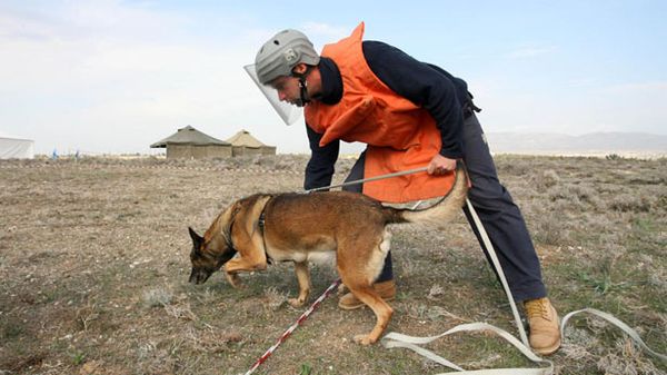 Despite huge civilian casualties, U.S. still won't support international ban on landmines