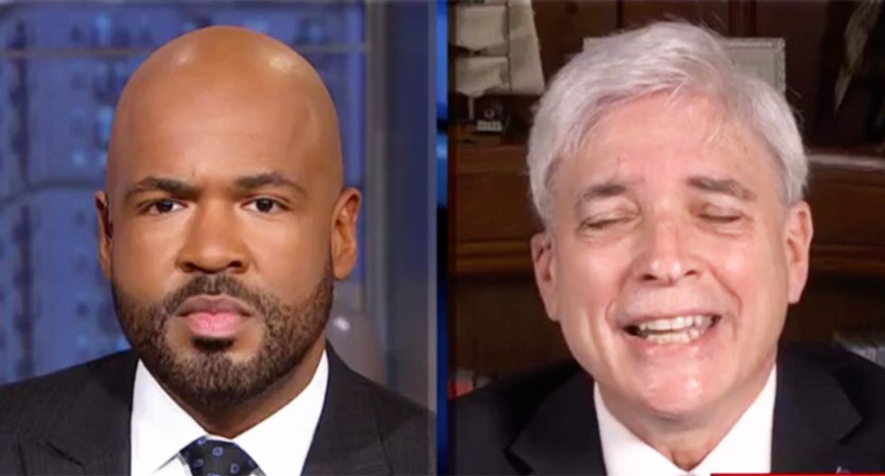 CNN host brutally drops mic on ex-Trump adviser insisting president never lied about his wall