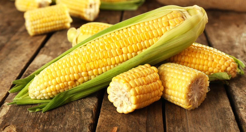 Chinese man gets three years in US prison for theft of corn secrets
