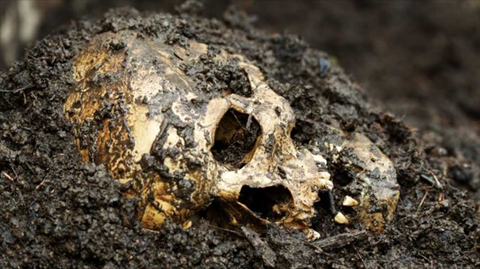 Archaeologists dig up 3,000 skeletons -- including plague victims -- at London site