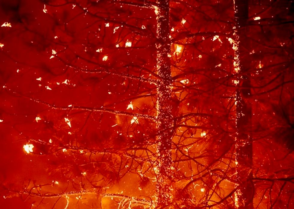 New wildfire rips through northern California