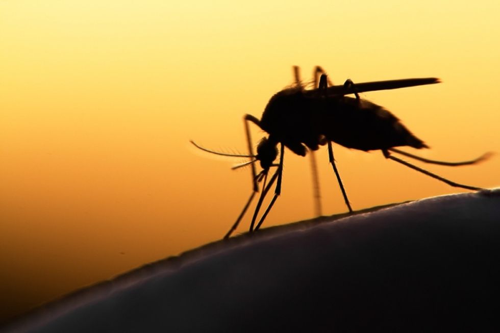 Why mosquitoes bite some people and not others -- and the surprising non-toxic way to avoid bites