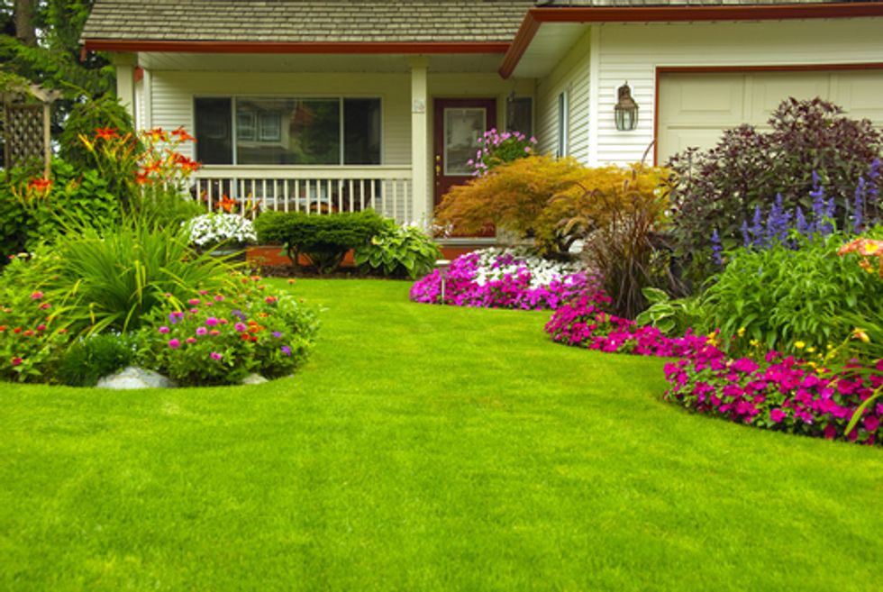 California needs to ban lawn-watering