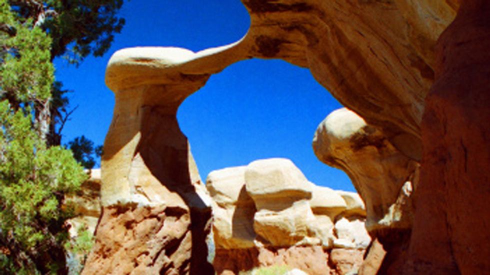 Trump's shrinking of the Grand Staircase-Escalante National Monument is a disaster for paleontology