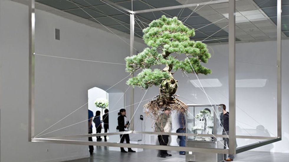 Tokyo artist transforms bonsai trees into 'exobiotanica' by launching them into space