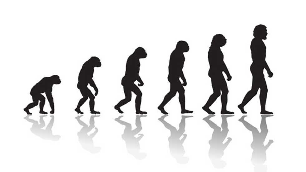 Go with the flow and you’ll find evolution belongs to physics