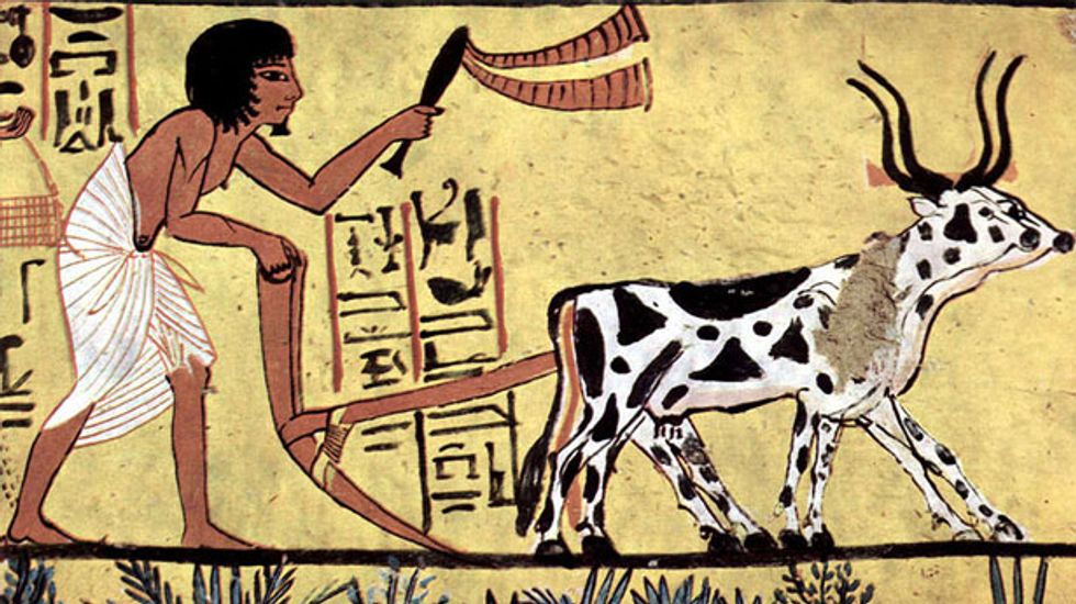 Agricultural revolution 10,000 years ago was key to the rise of ancient despots