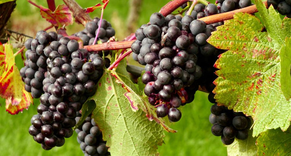 Should California winemakers be worried about China's tariffs?