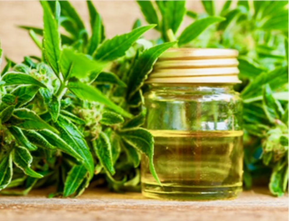 CBD: The next weapon in the war against opioid addiction?