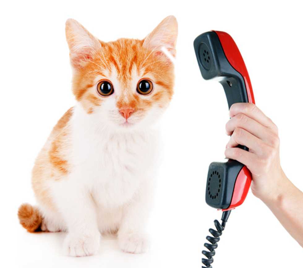 A brief moment of honesty about cat-calling is swiftly snuffed out at the National Review