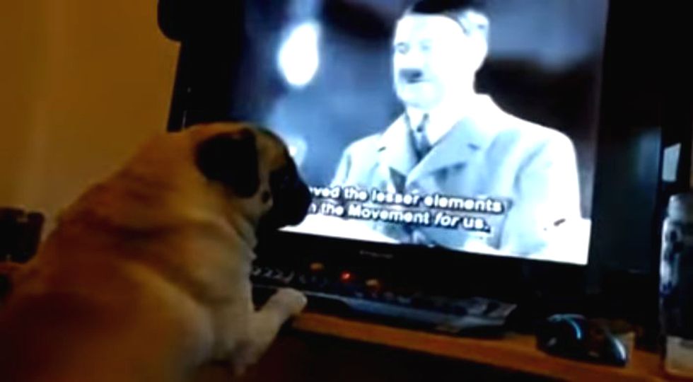 InfoWars hero who 'turned his dog into a Nazi' on trial for committing a hate crime