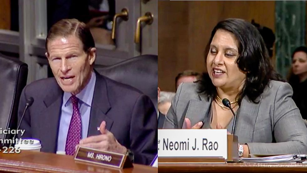 Trump nominee Neomi Rao refuses to say Supreme Court decision to desegregate schools was correctly decided