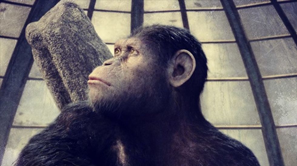 Debate erupts over genetically-modified monkeys created with 'cut and paste' DNA