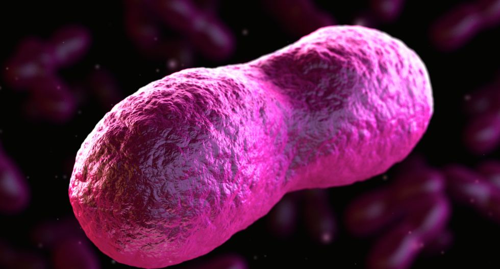 Michigan man recovering after being diagnosed with bubonic plague