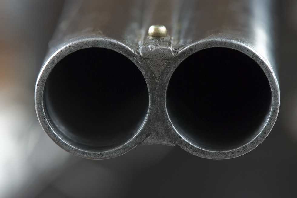 Michigan woman pulls shotgun to 'make a point' and shoots self in face